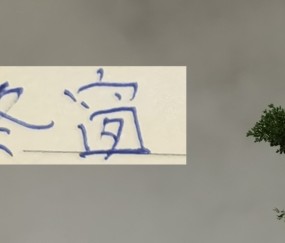 今年中超算是回光！ 居然有德甲+意甲球员加盟联赛